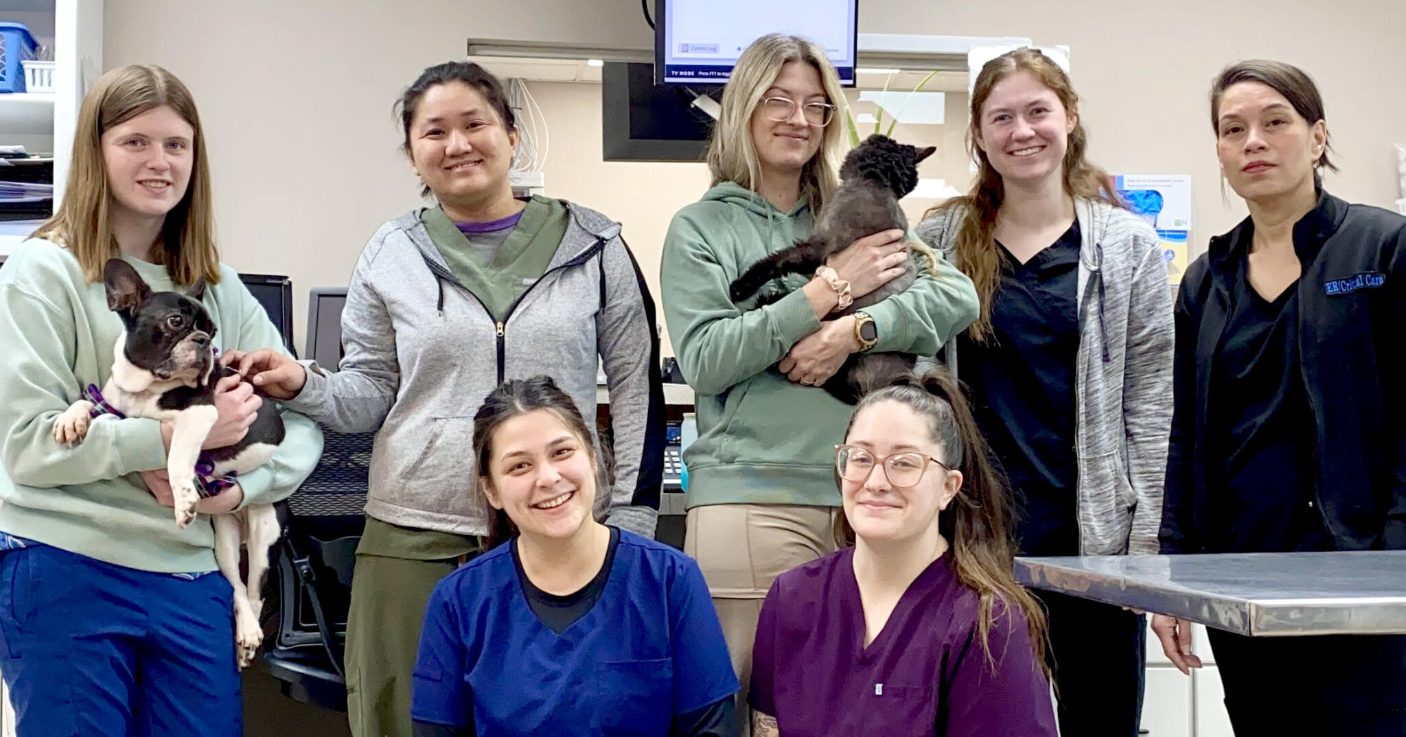 Pet Urgent Care